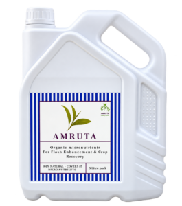 Amruta Complet Nutrition