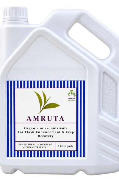 Amruta Complet Nutrition